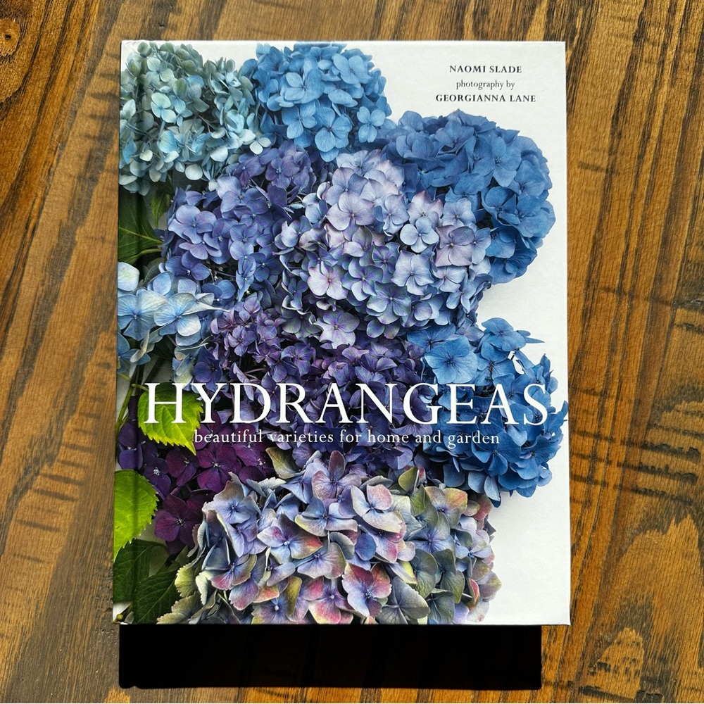 Hydrangeas beautiful varieties for home and garden